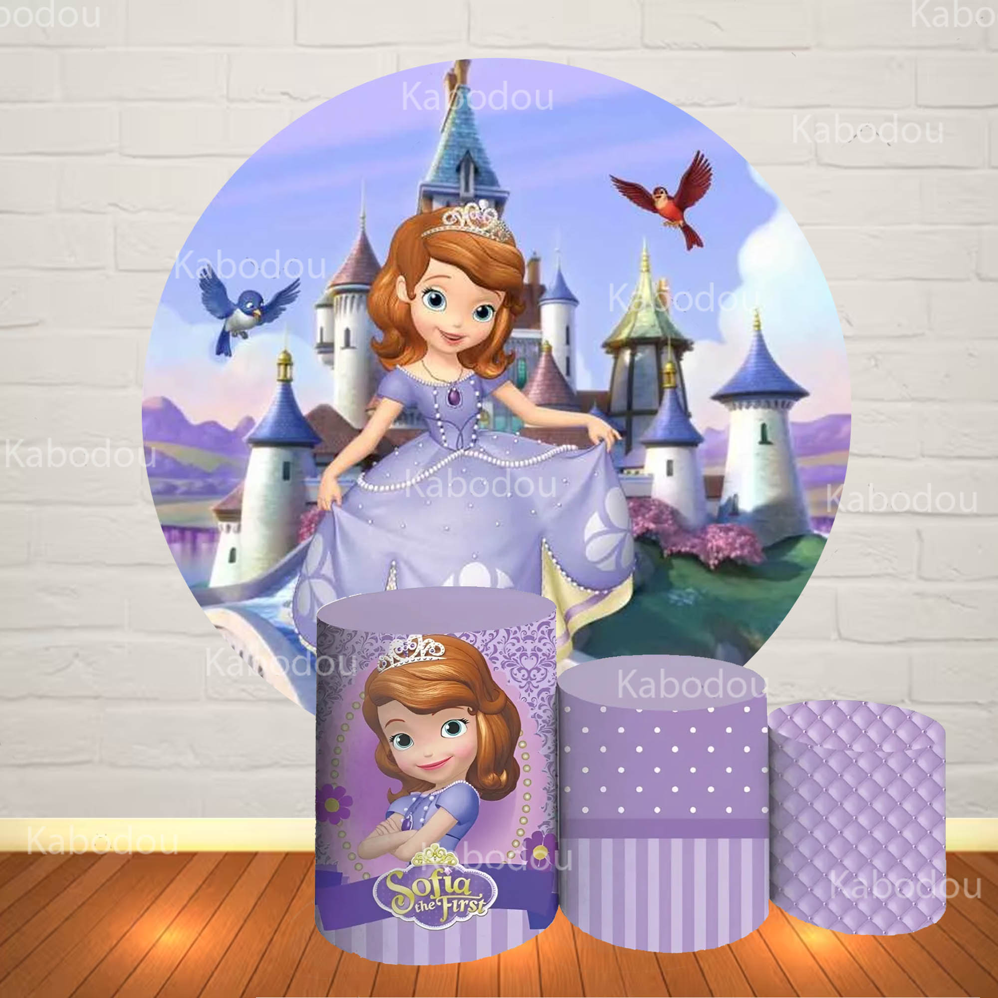 Photography Class - Sofia the First Round Backdrop Pesta