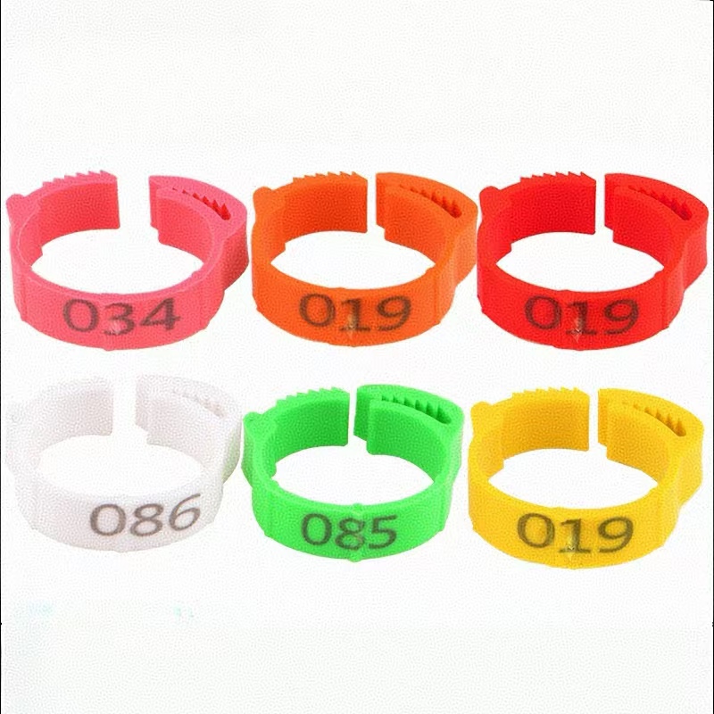 Photography Duck - 100 buah cincin kaki ayam Label