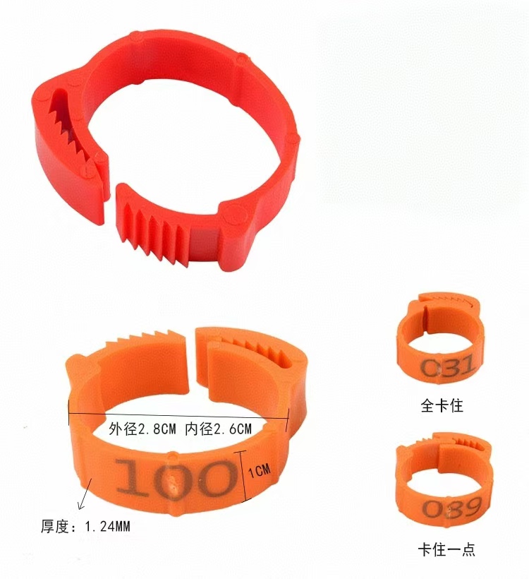 100 buah cincin kaki ayam Labe - Photography Duck ulasan dan harga