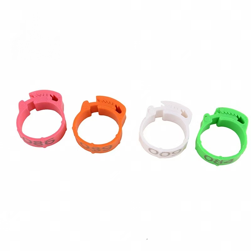 100 buah cincin kaki ayam Labe - Photography Duck ulasan dan harga